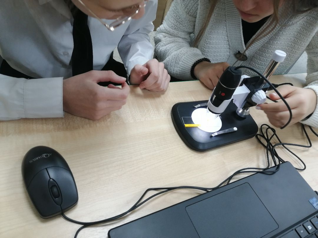 Протвино Образование