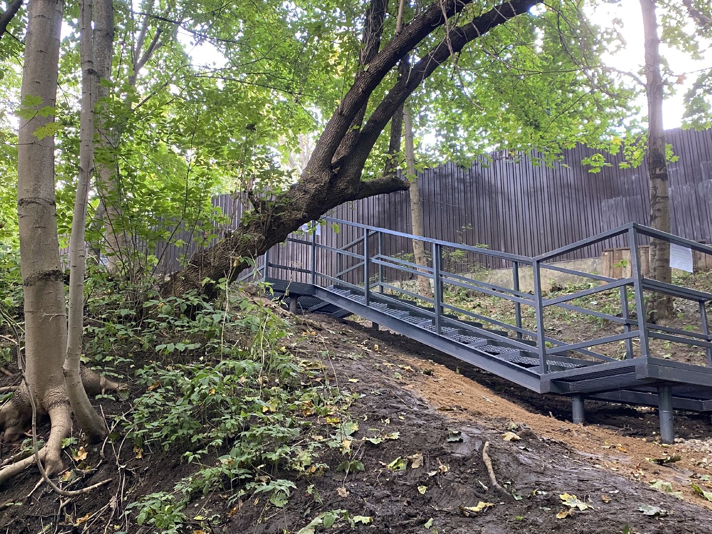 Балашиха, родники Подмосковья, родник на Разинском шоссе, благоустройство парков,