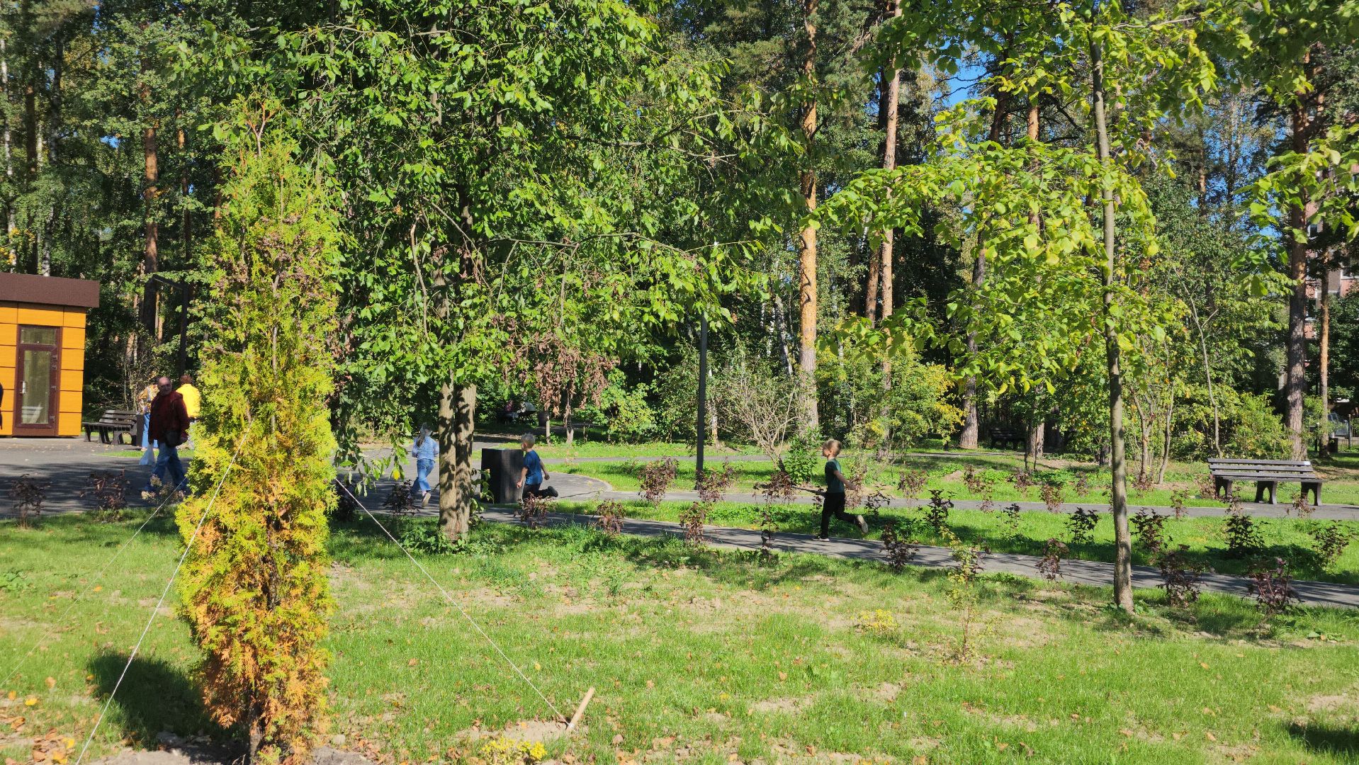 Благоустройство, парк, Глухово, Ногинск, Богородский городской парк