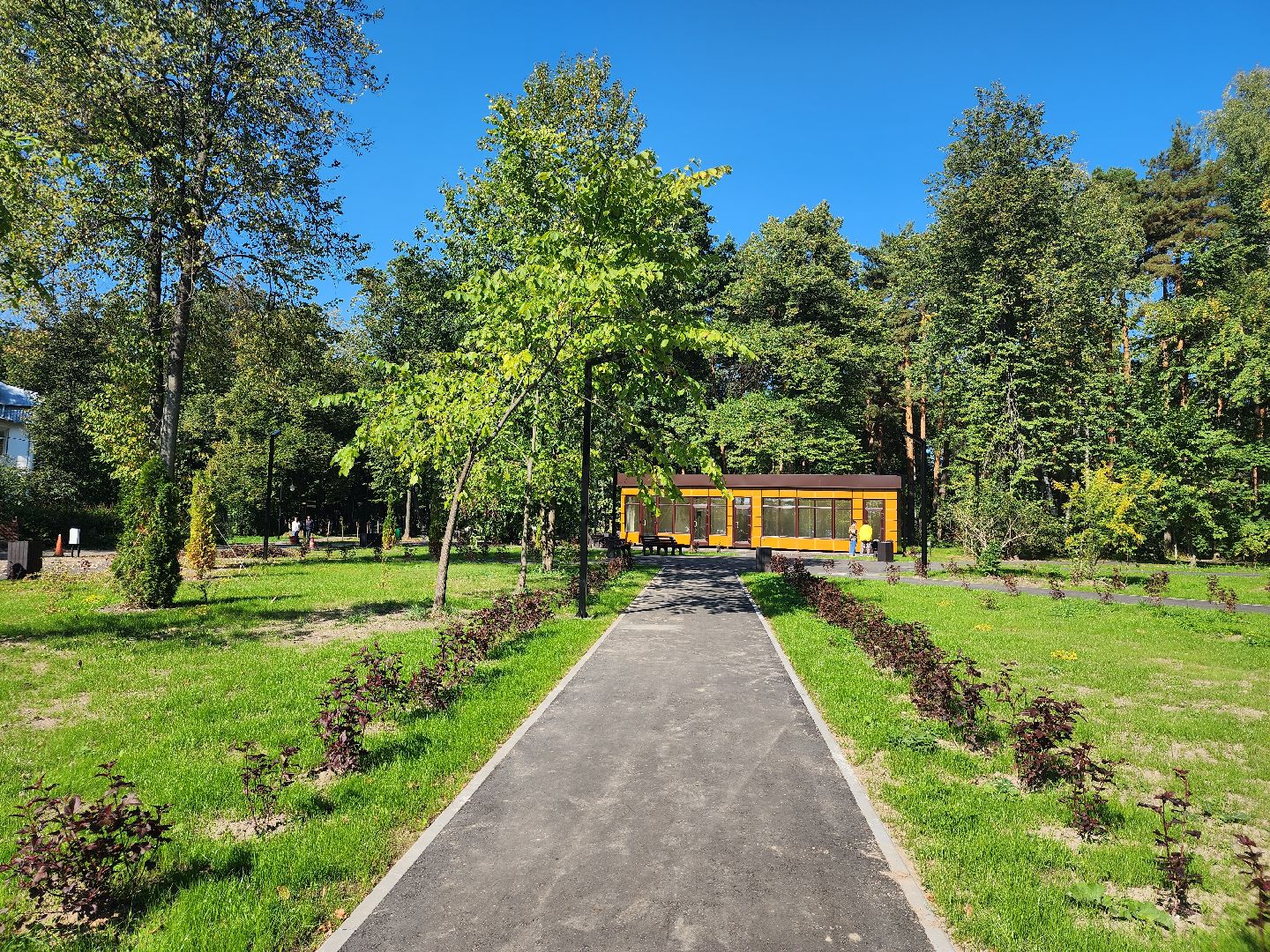 Благоустройство, парк, Глухово, Ногинск, Богородский городской парк