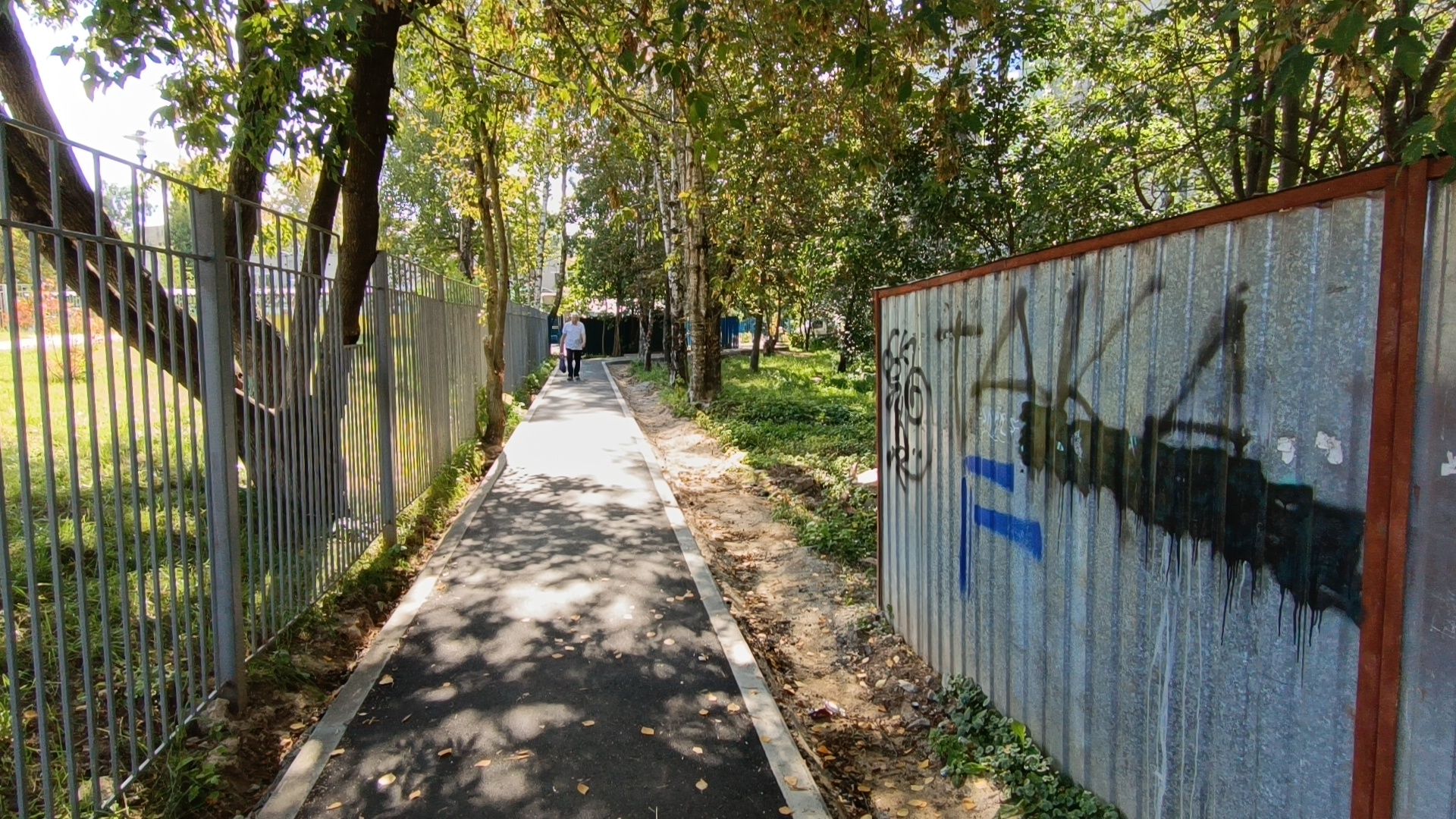 Лобня, школа, дорога