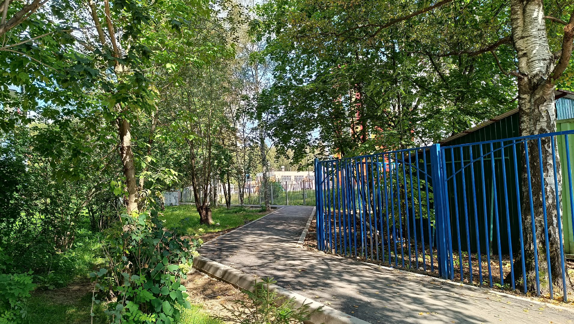 Лобня, школа, дорога