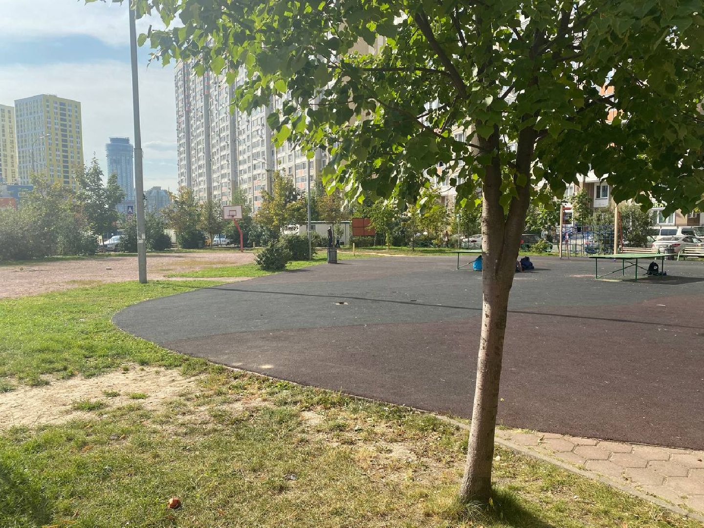 благоустойство, химки, губернатор,