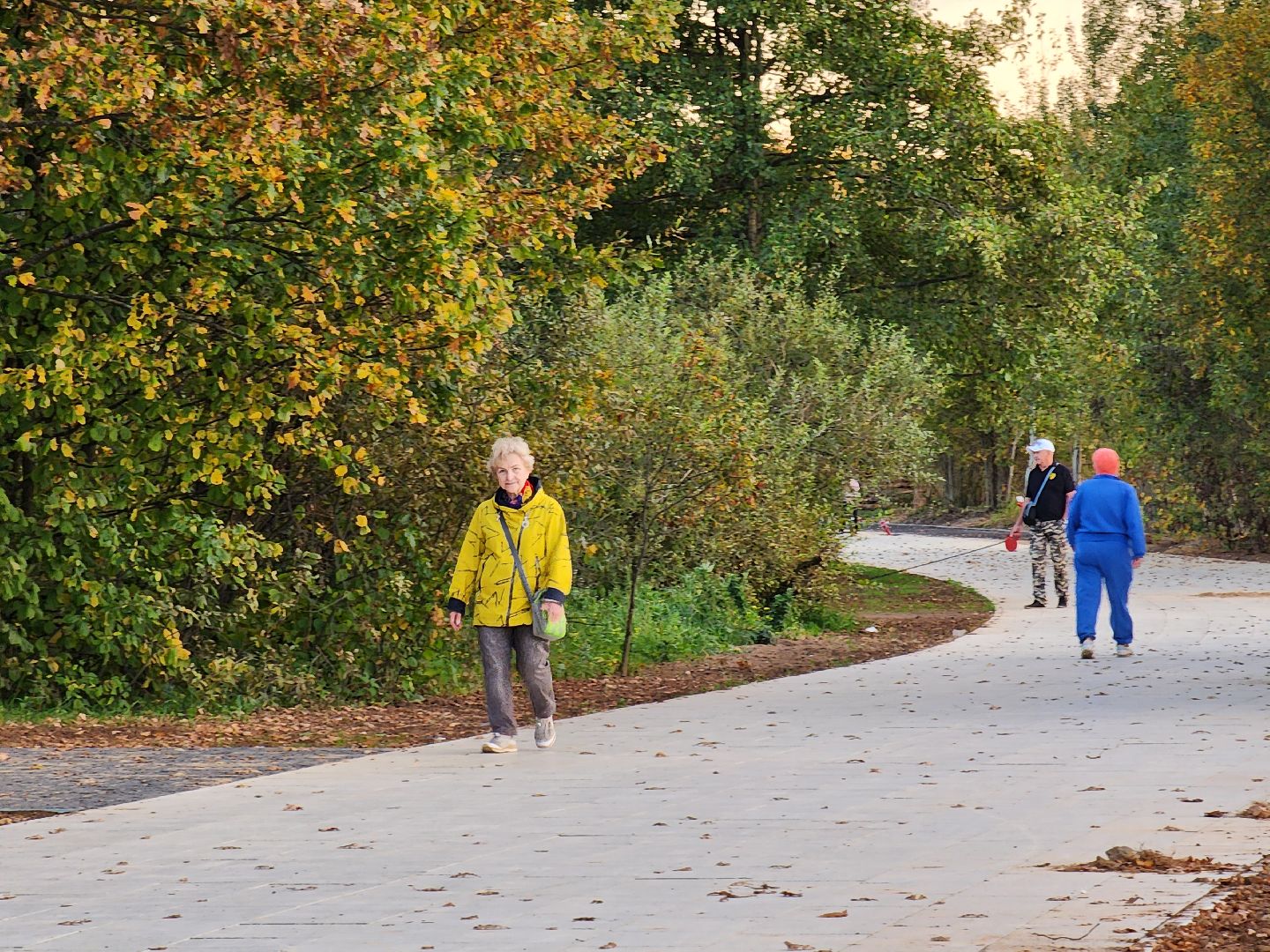благоустройство, щёлково, строительство, Усадьба Гребнево, фрязино,