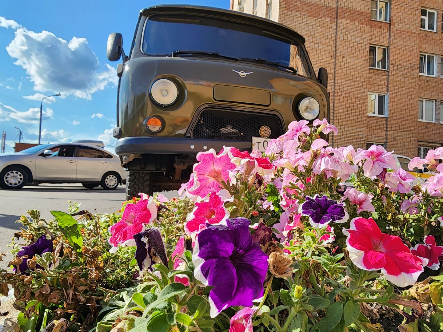 ступино, сво, помощь участнику сво,