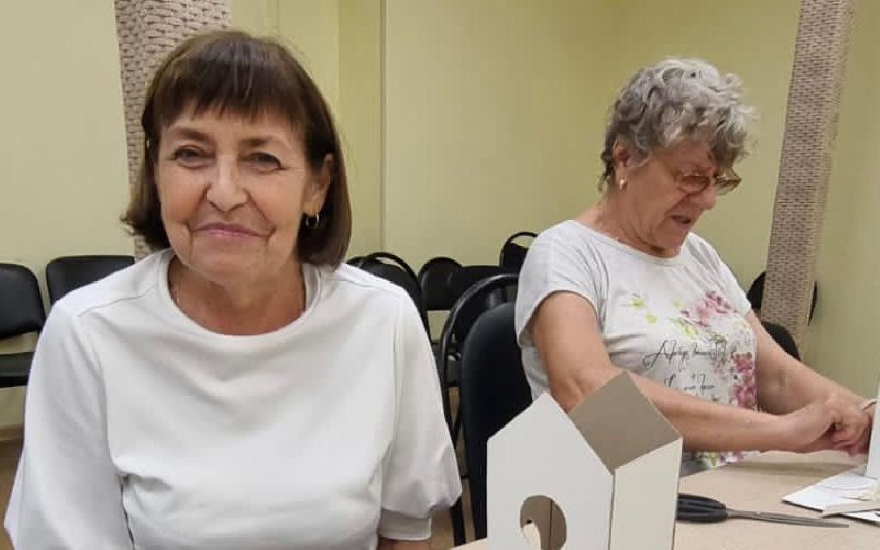 активное долголетие, региональная программа, г.о. пушкинский,