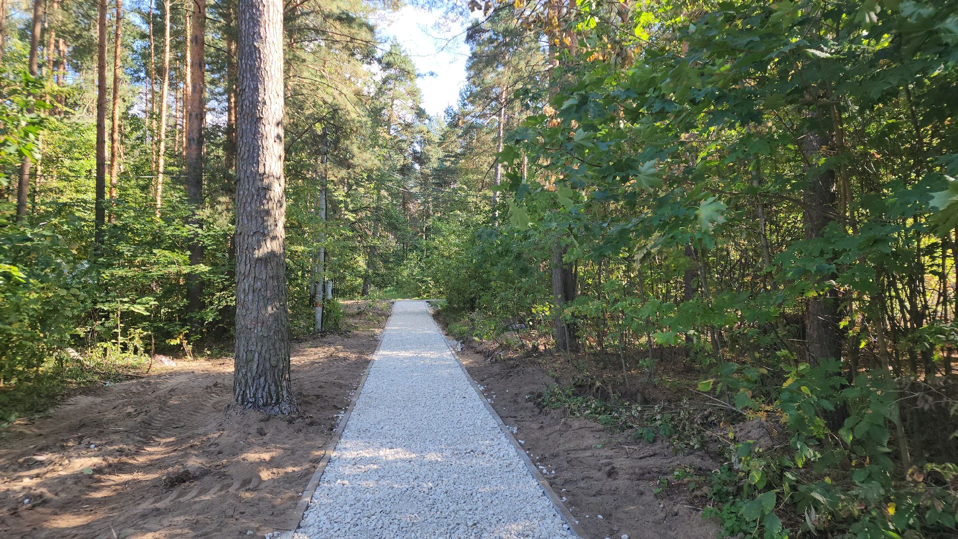 Егорьевск, благоустройство, тротуар, народная тропа, асфальт, дорога, дороги, ремонт, ремонт дорог, ремонт дороги,