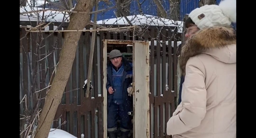 экология, приют, собаки, Щёлково, бездомные животные, ученики