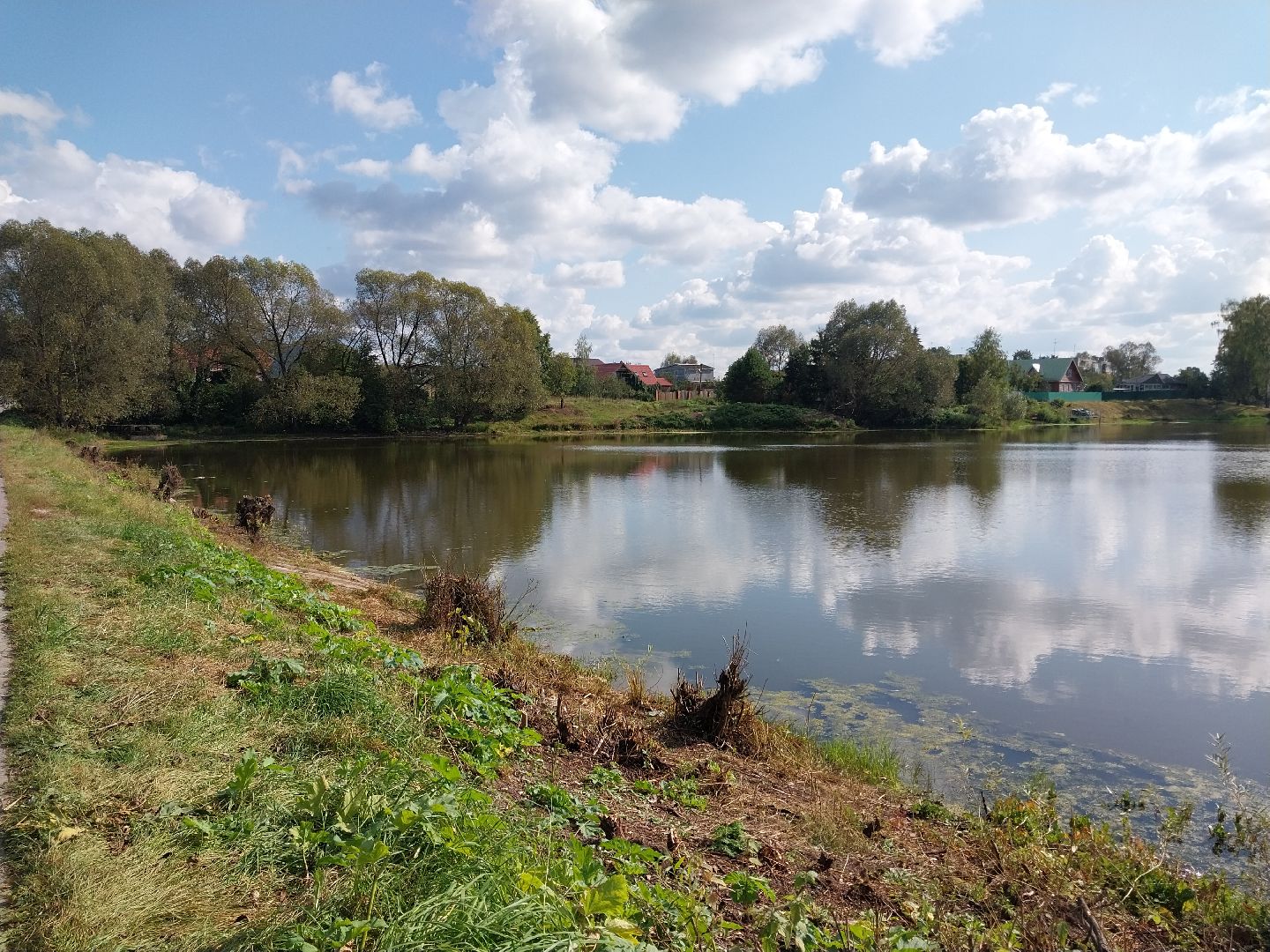 Коломна, экология, водоём, пруд,