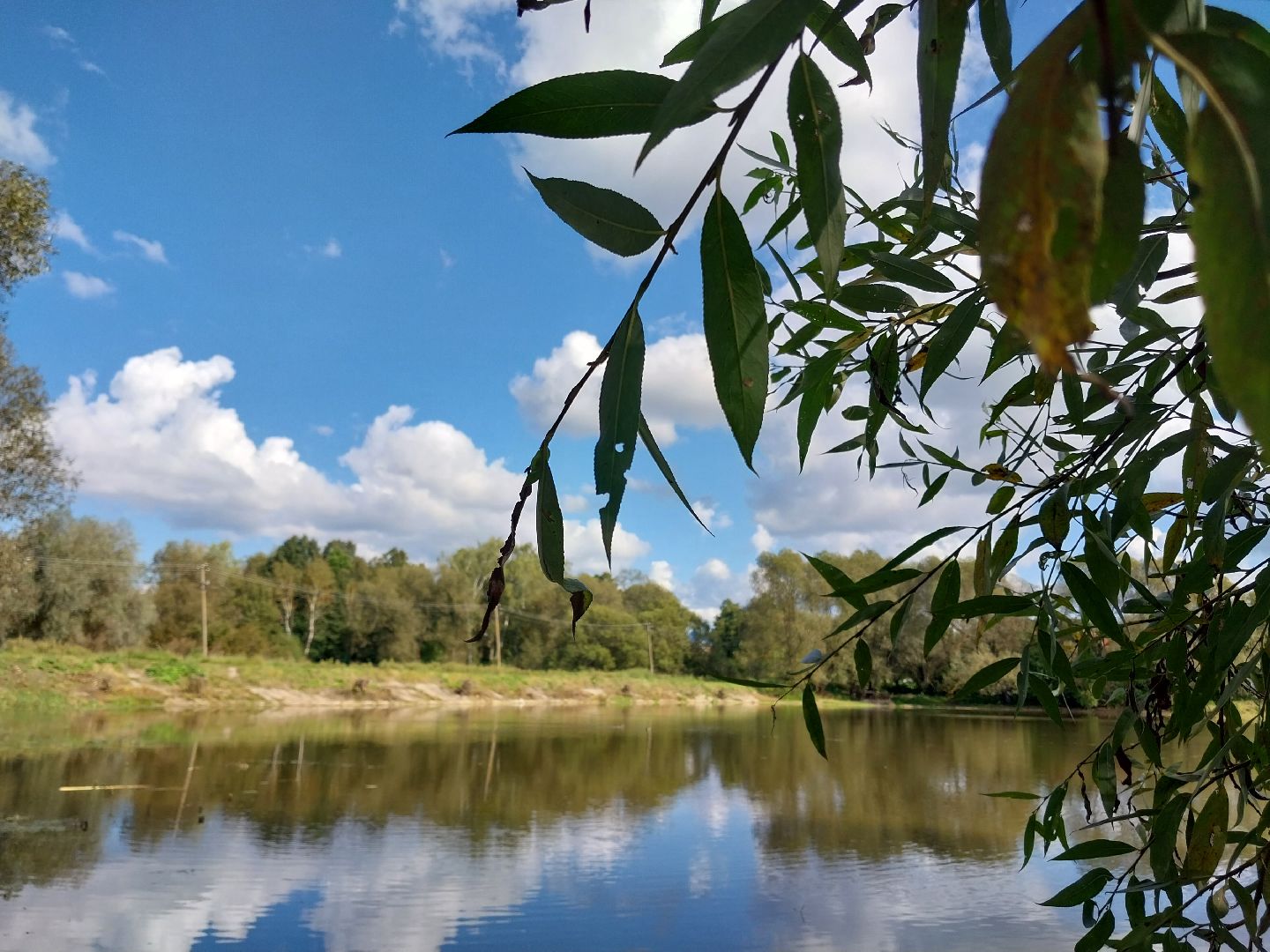 Коломна, экология, водоём, пруд,