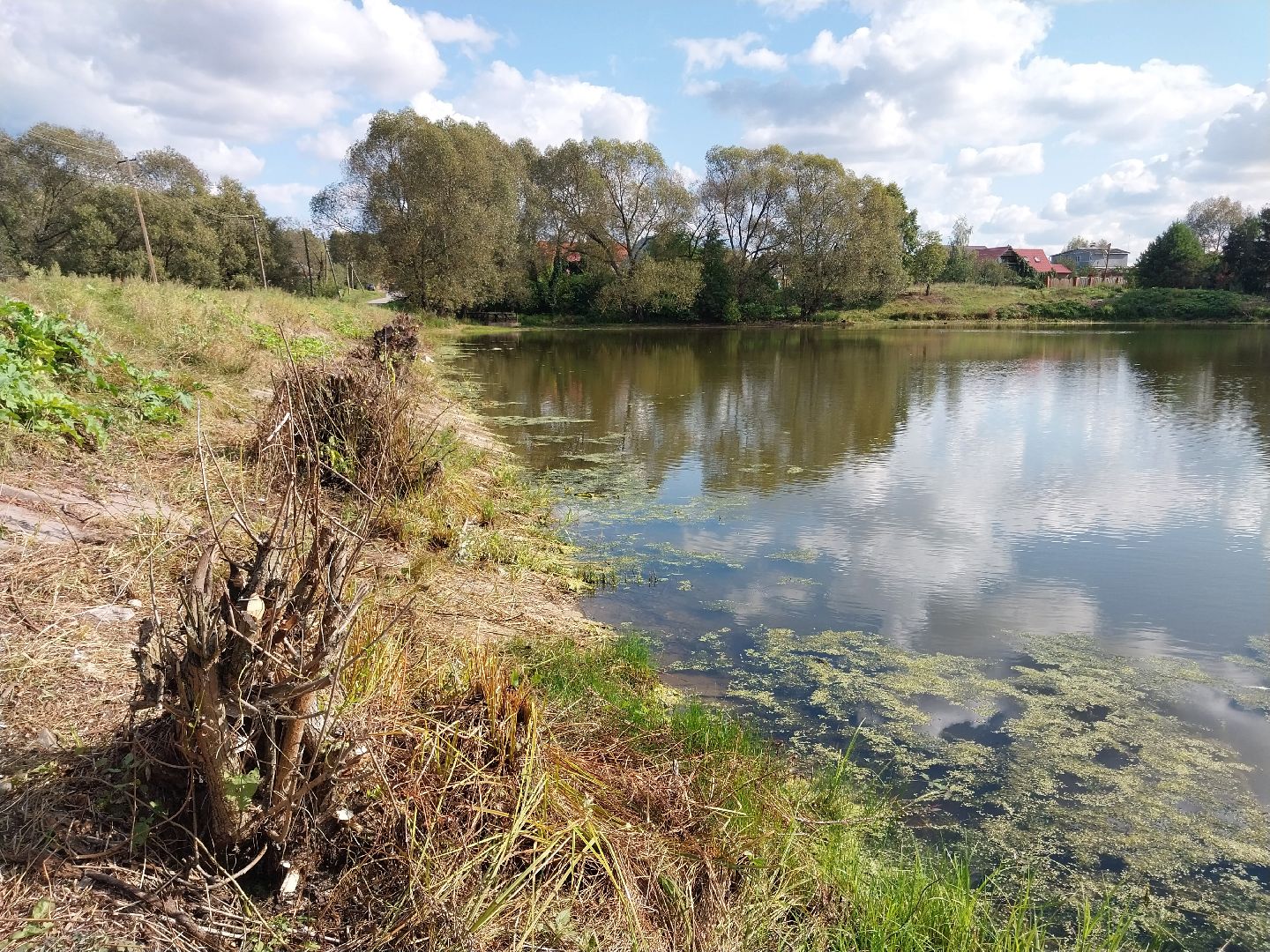 Коломна, экология, водоём, пруд,