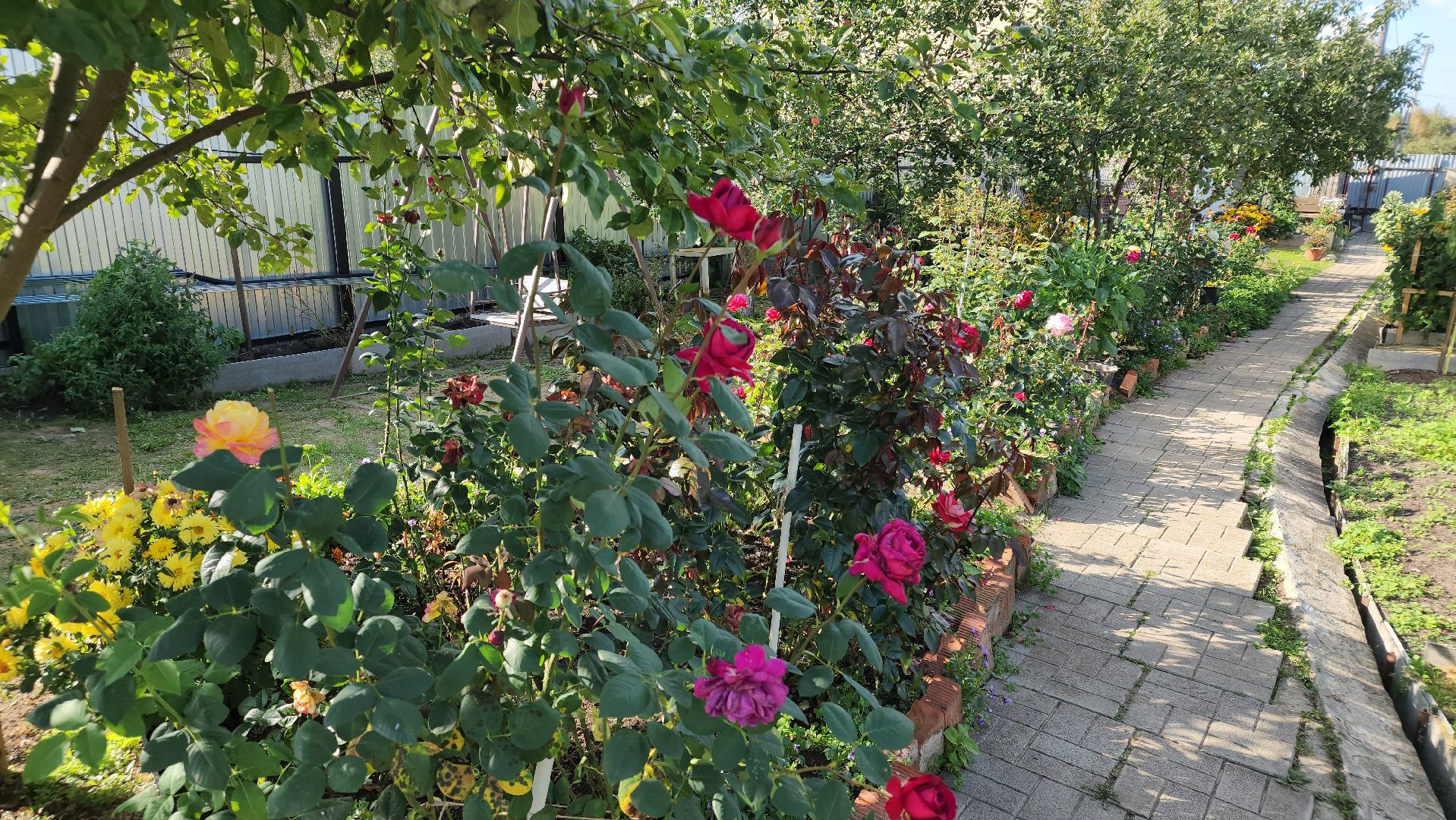 Егорьевск, шувое, канзаши, искусство, пенсионеры, сад, подмосковье,