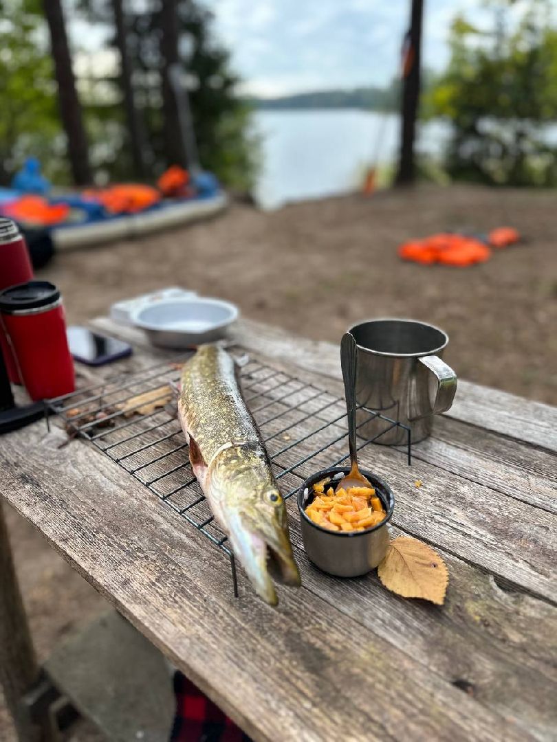 Шатура, молодежь, поход, Селегер