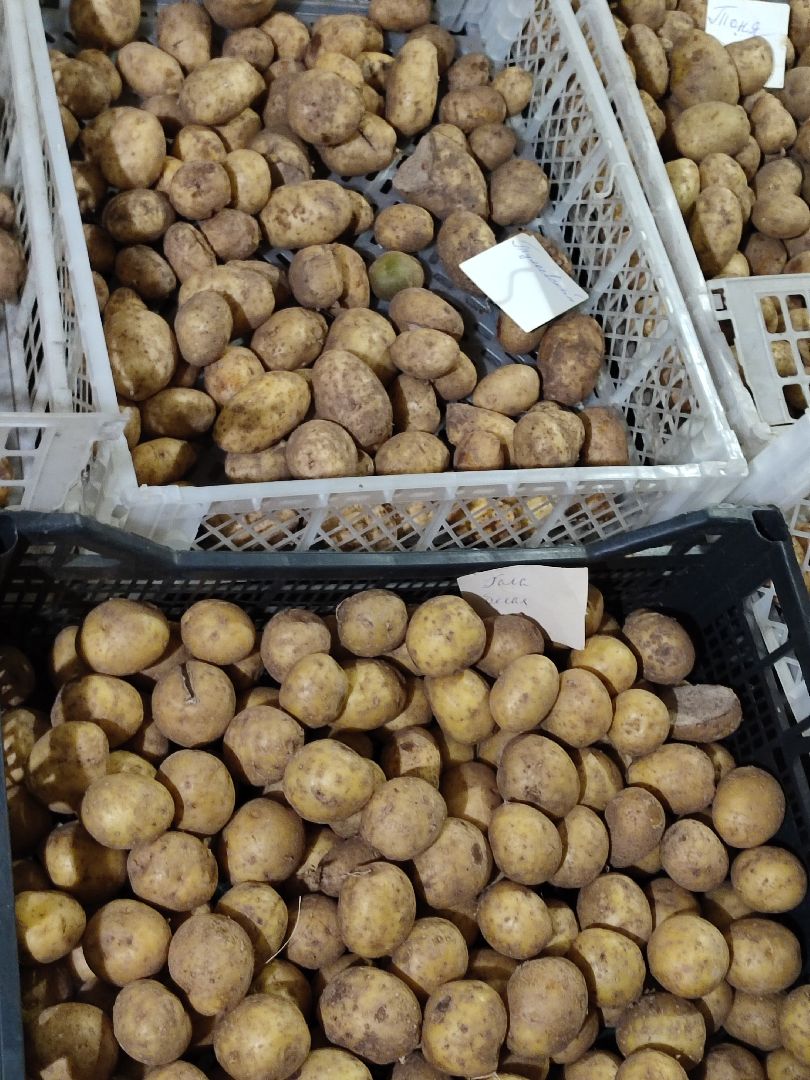 активноедолголетие, заготовки, осень, талдом, подготовкакзиме,