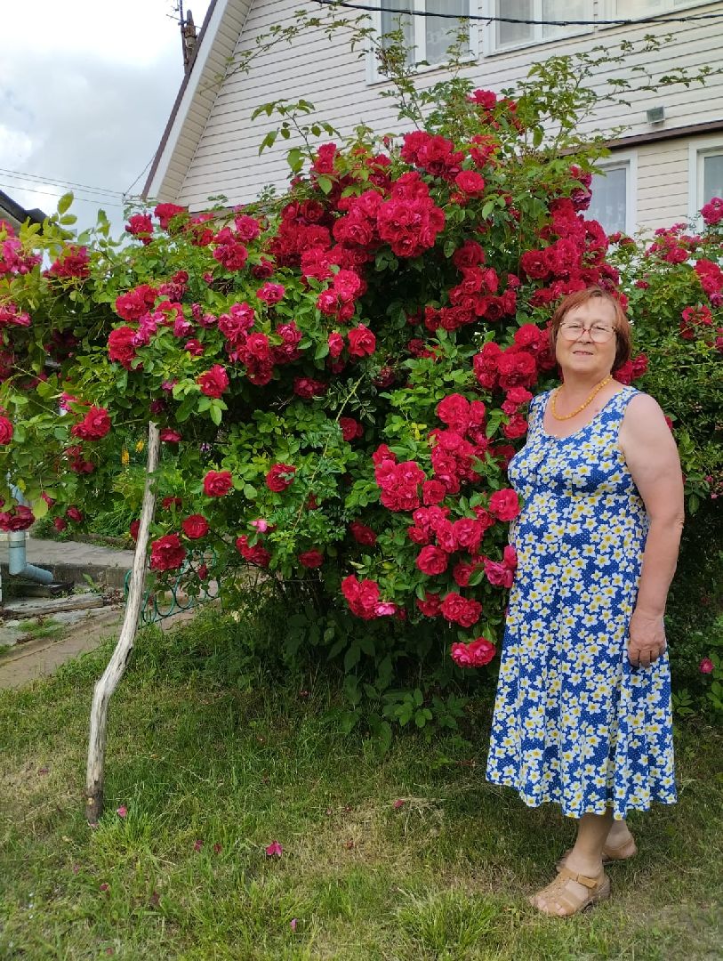 активноедолголетие, заготовки, осень, талдом, подготовкакзиме,