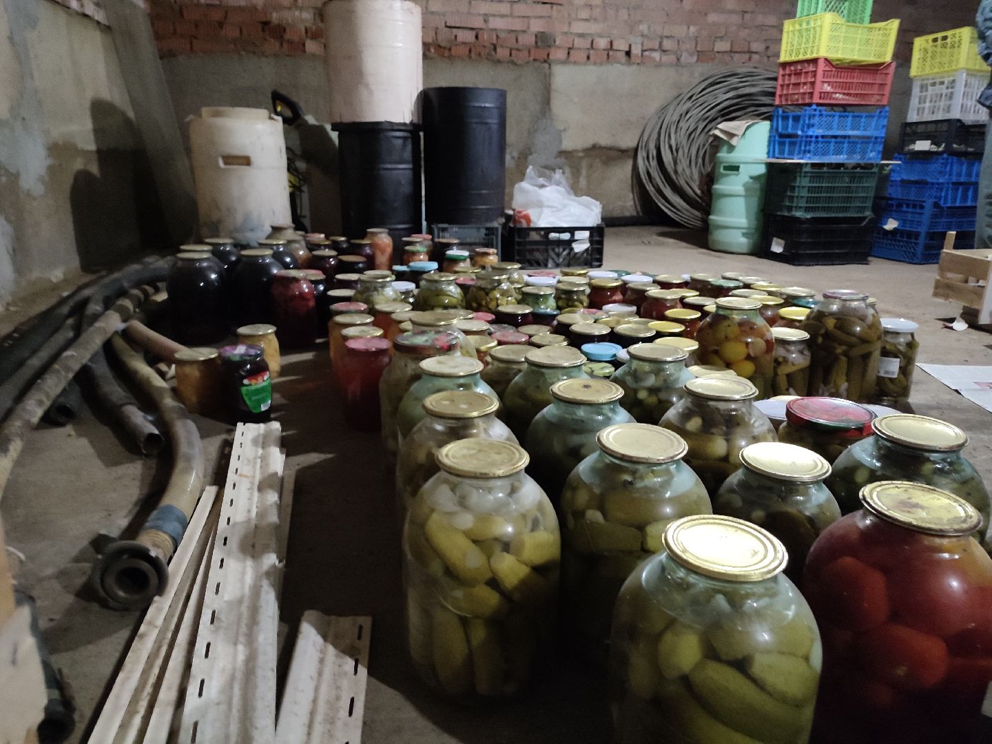 активноедолголетие, заготовки, осень, талдом, подготовкакзиме,