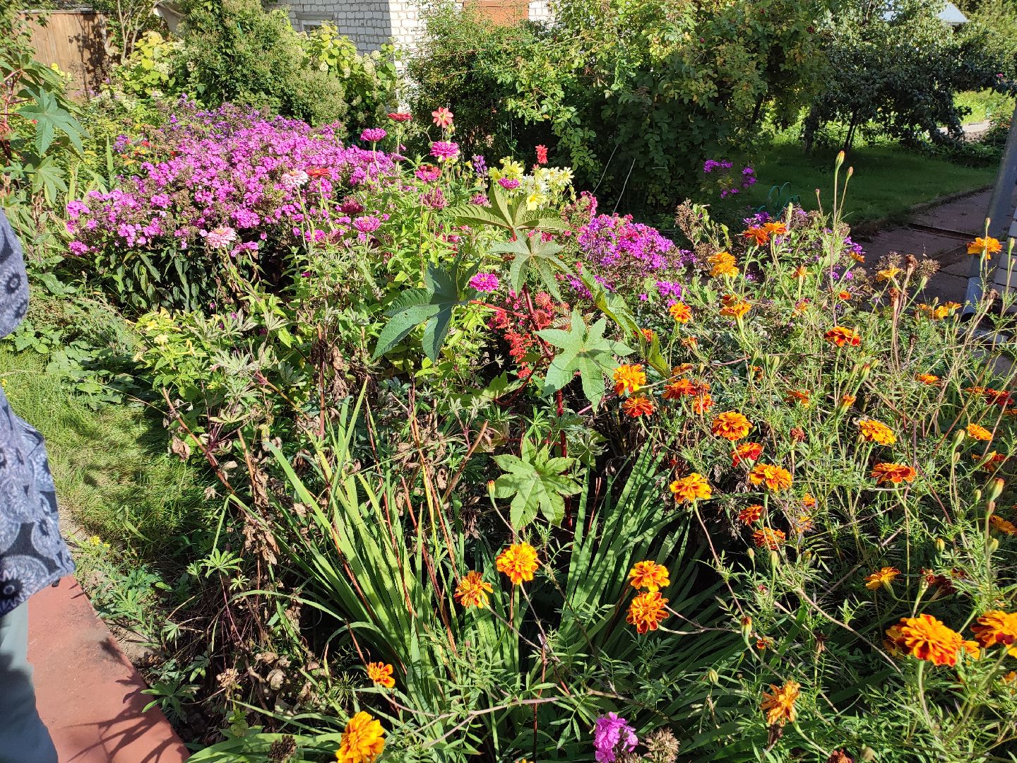 активноедолголетие, заготовки, осень, талдом, подготовкакзиме,