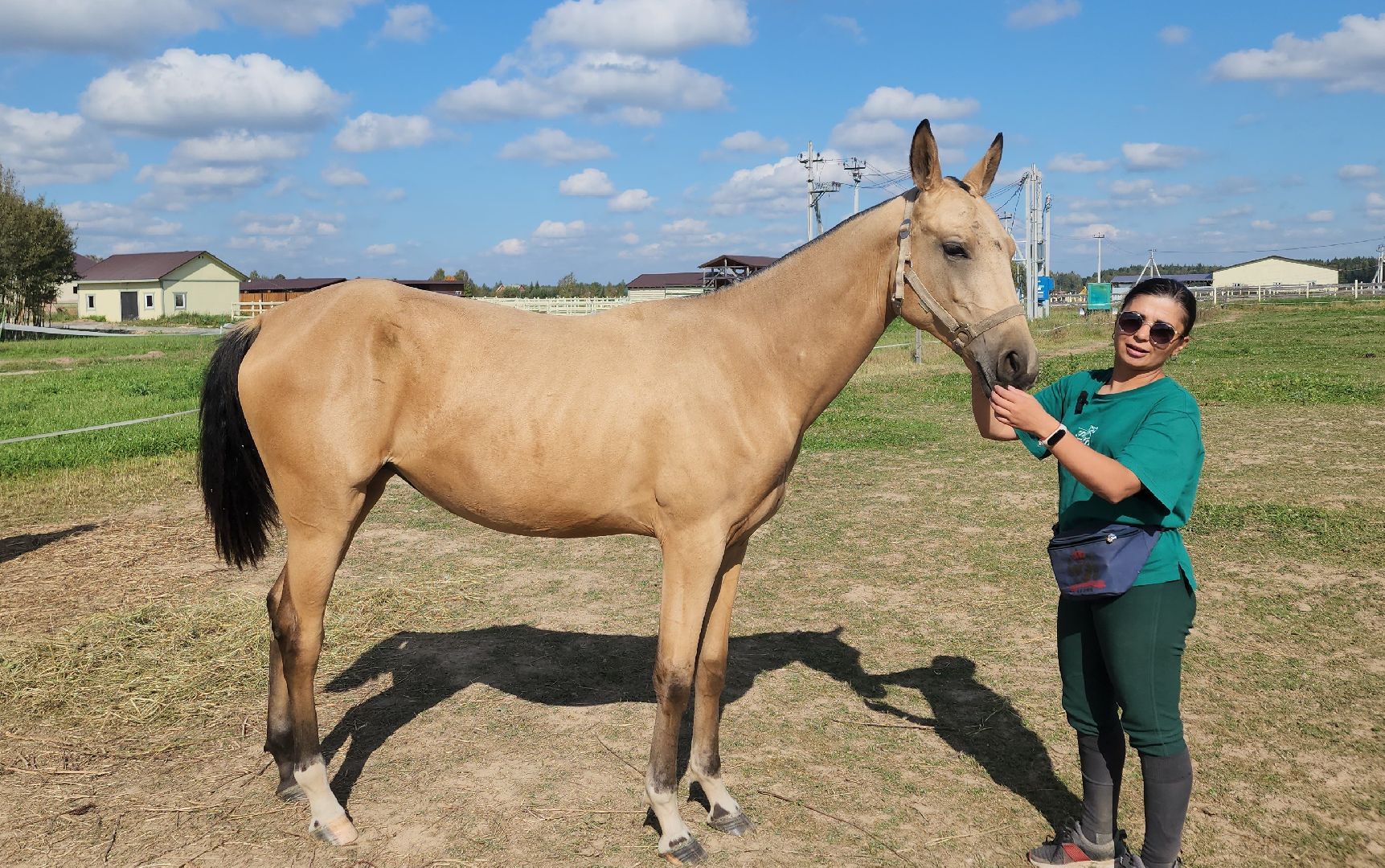 Ступино, карамат, конкур, спорт,
