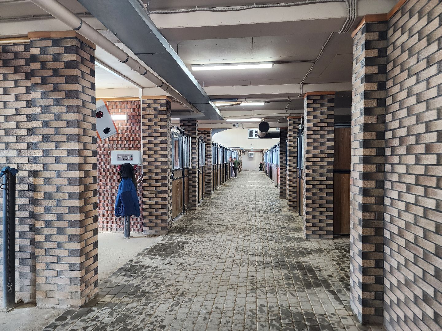 Ступино, карамат, конкур, спорт,