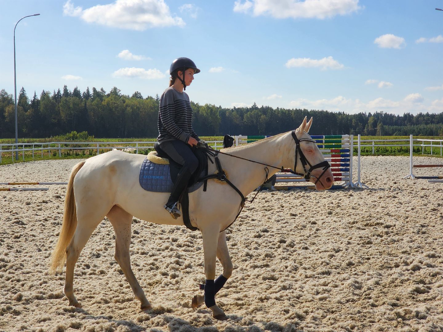 Ступино, карамат, конкур, спорт,