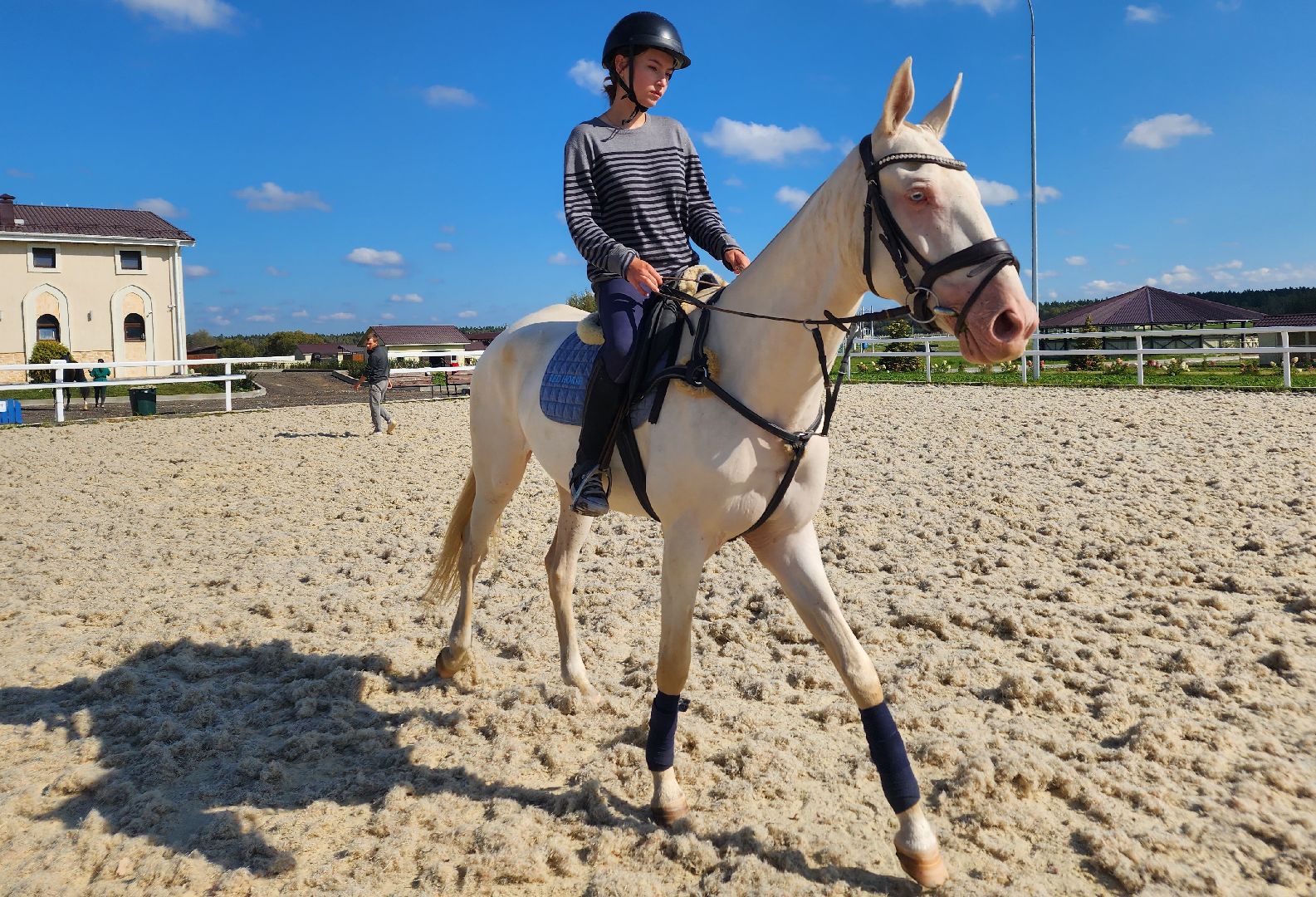 Ступино, карамат, конкур, спорт,