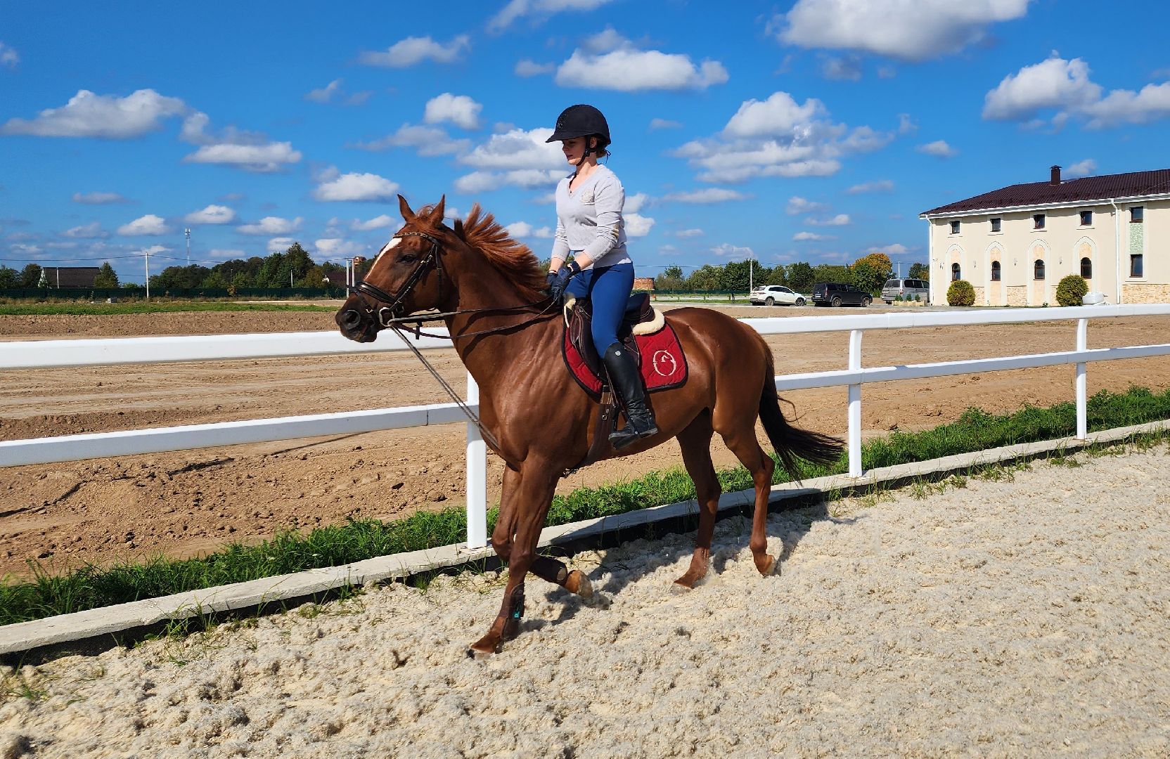 Ступино, карамат, конкур, спорт,