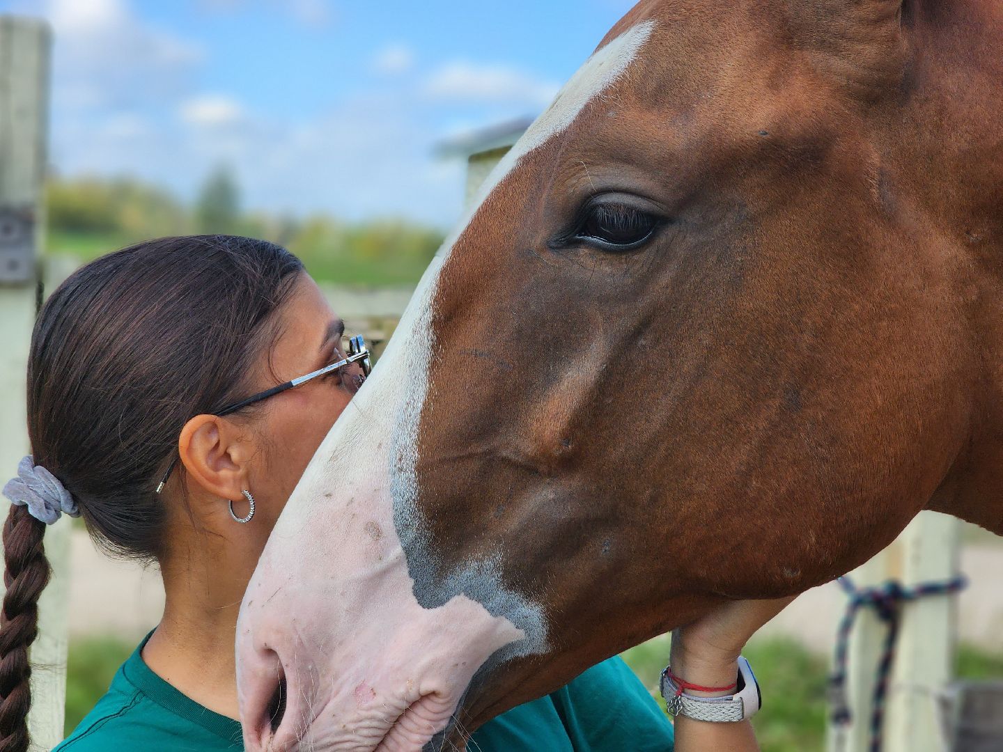 Ступино, карамат, конкур, спорт,