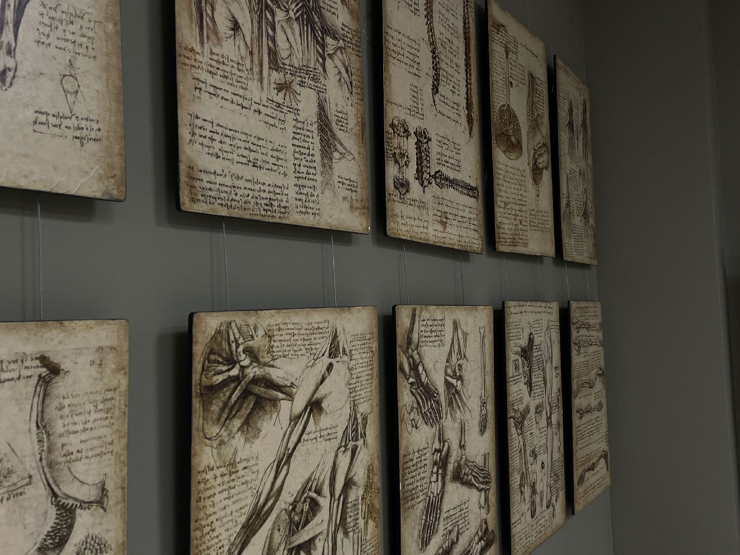 картина, жители, новое направление, музей,