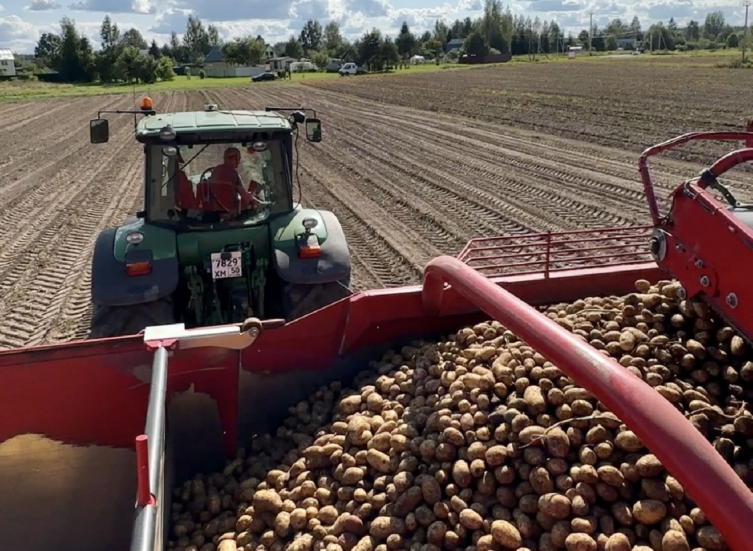 Клин, урожай, картофель