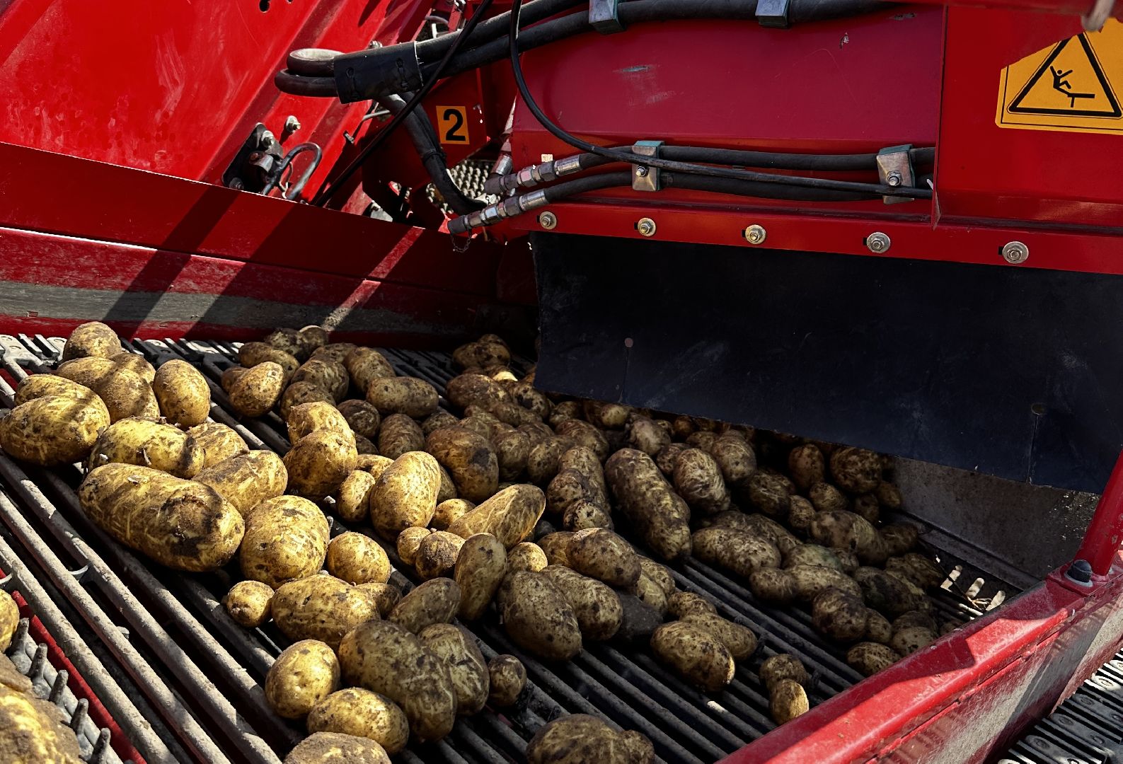 Клин, урожай, картофель