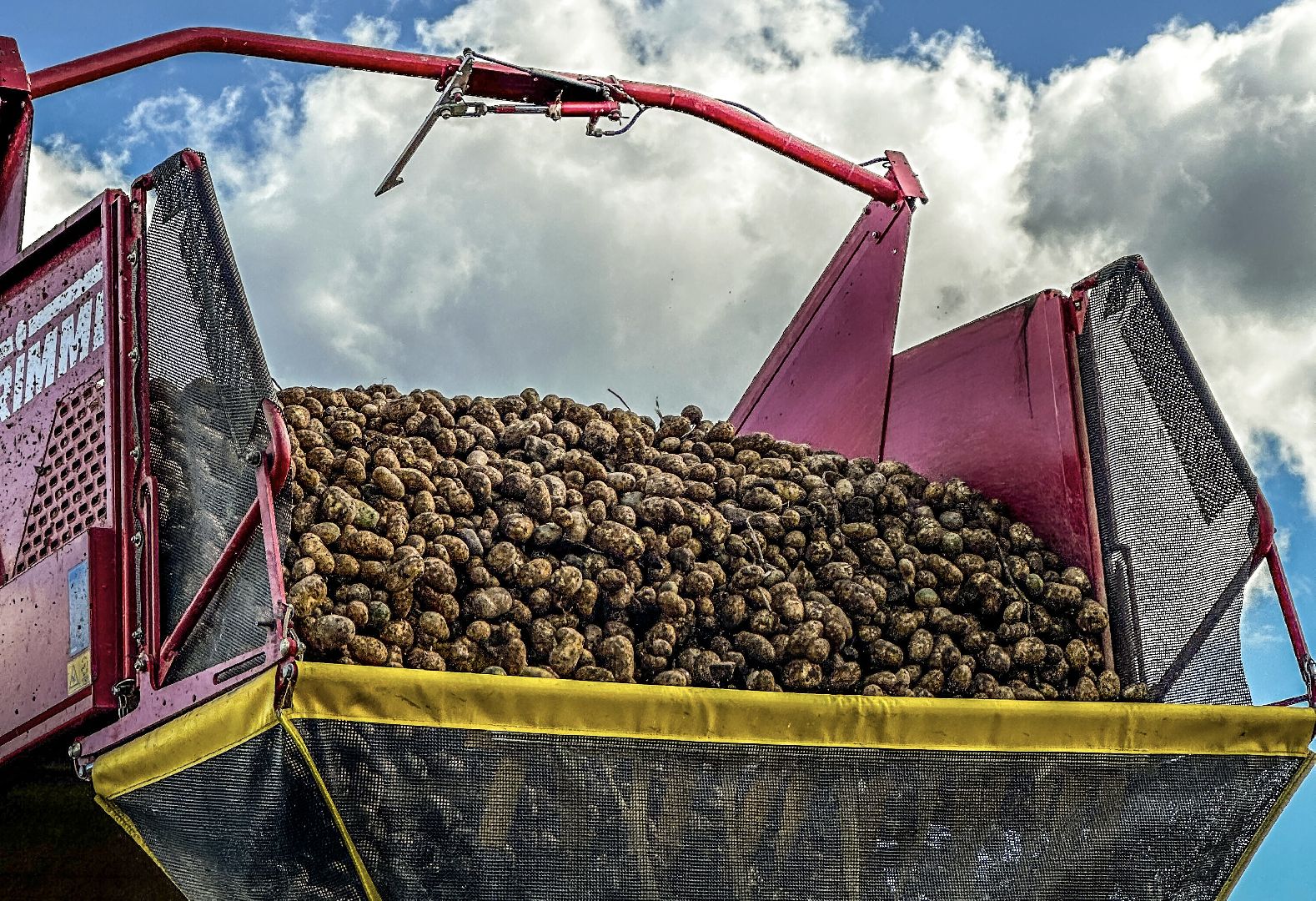 Клин, урожай, картофель