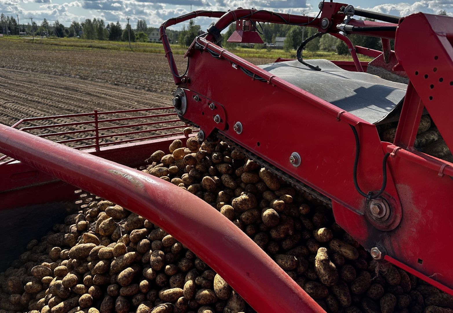 Клин, урожай, картофель