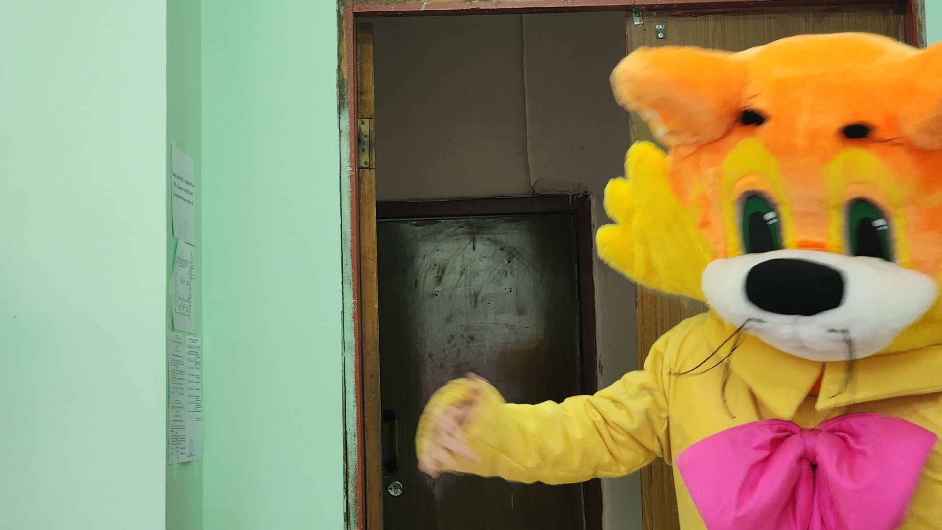 едг2023, выборы, подмосковье выбирает 2023, Пушкино, пушкинский округ,