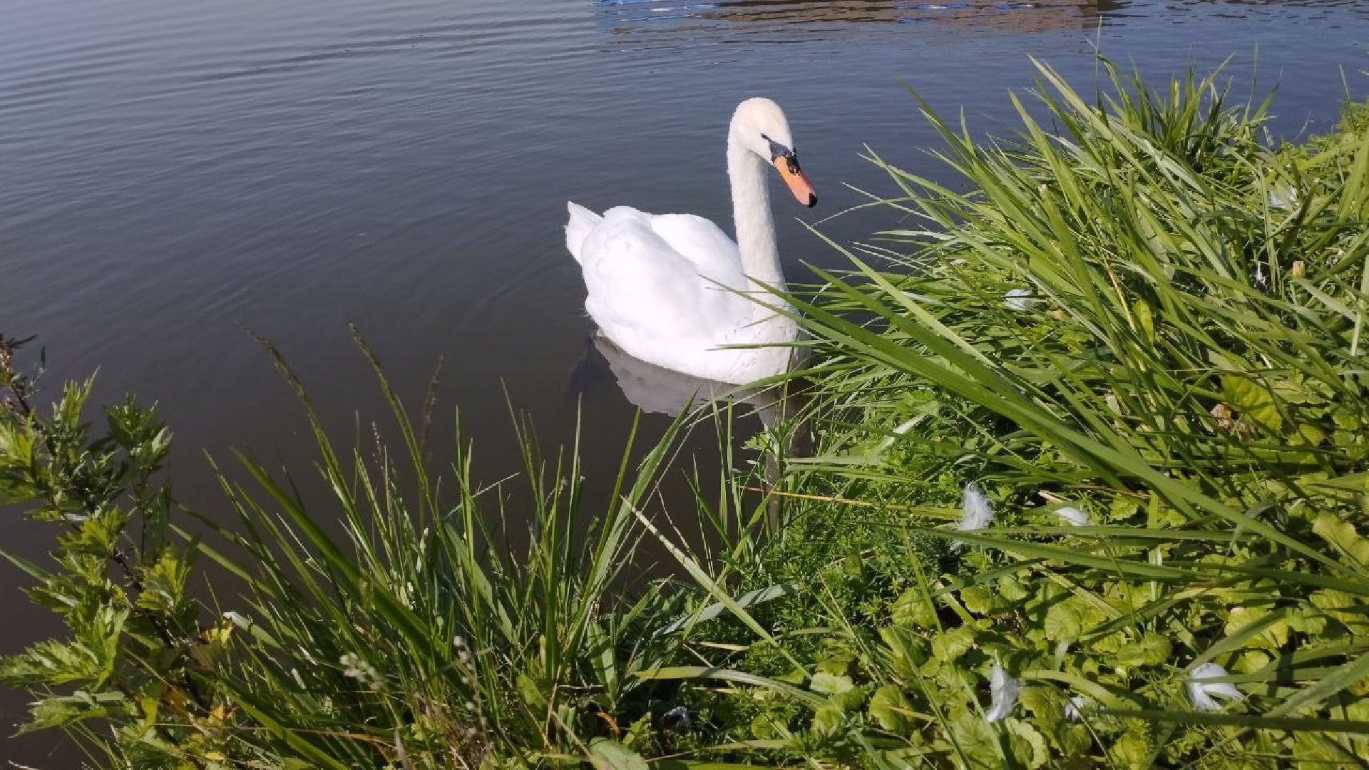 подмосковье, городской округ пушкинский, Ивантеевеа,