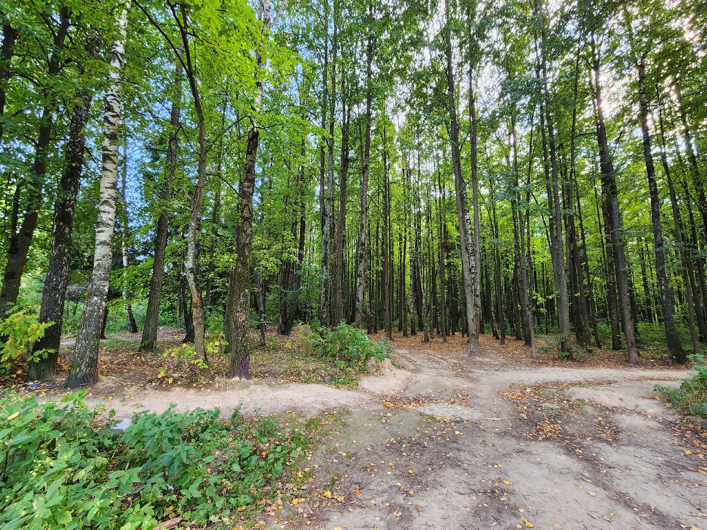 Звенигород, Благоустройство, парк в Супонево,