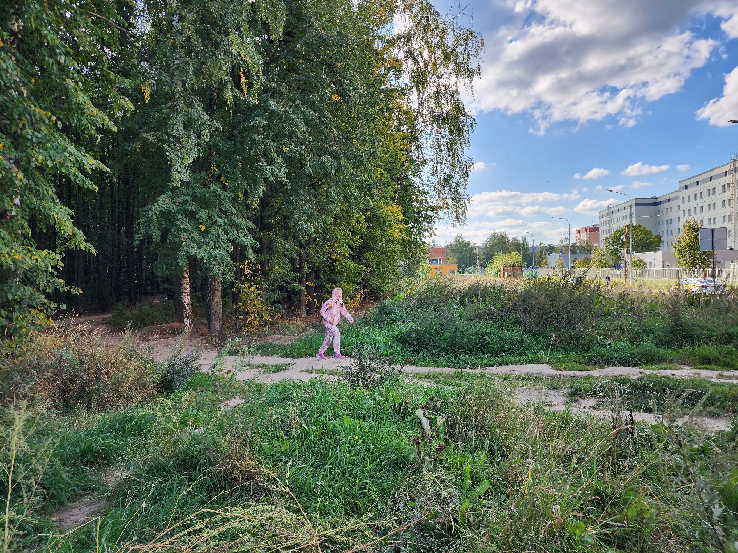 Звенигород, Благоустройство, парк в Супонево,