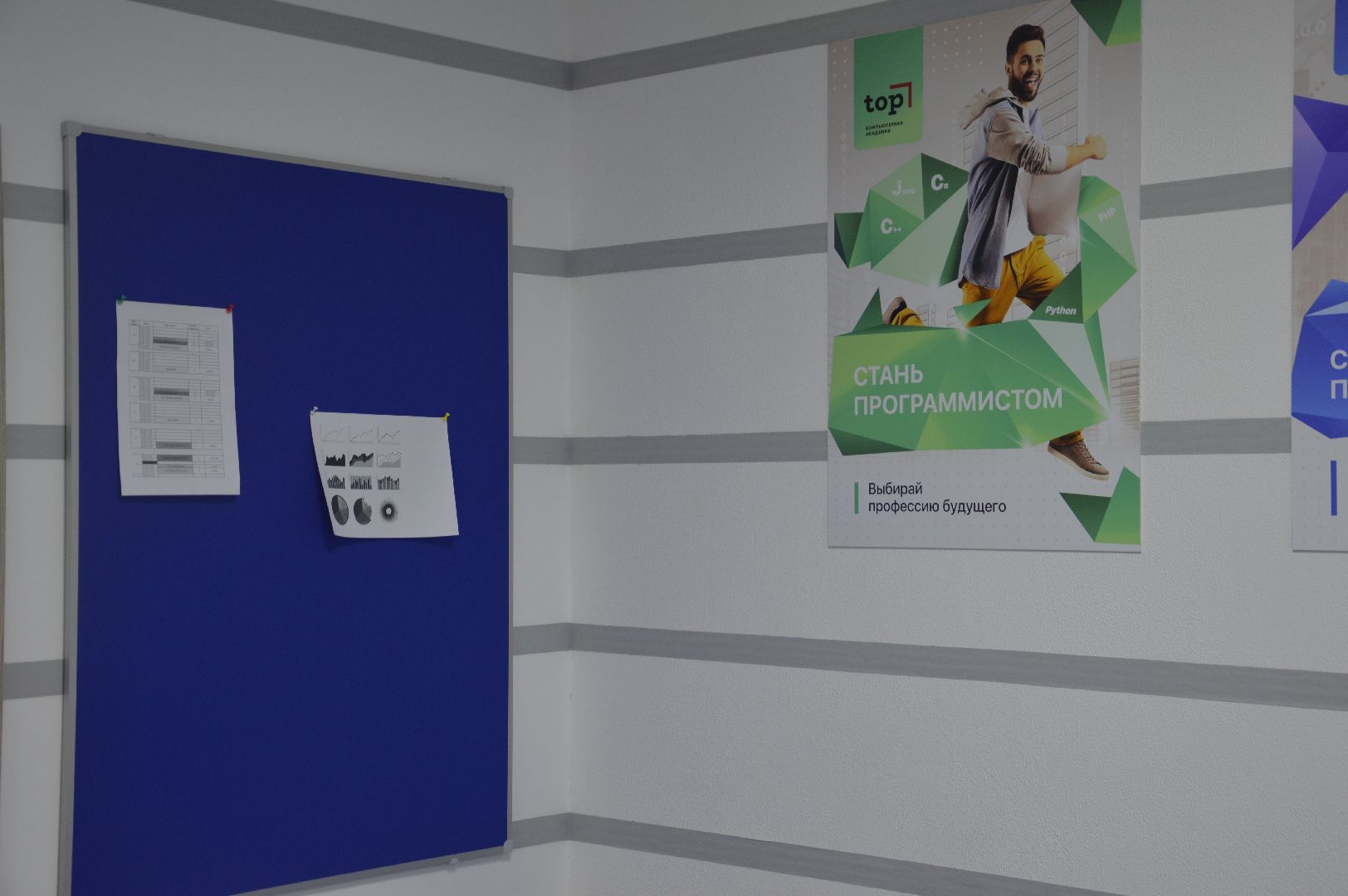 шатура, программист, день_программиста, академия, учеба,