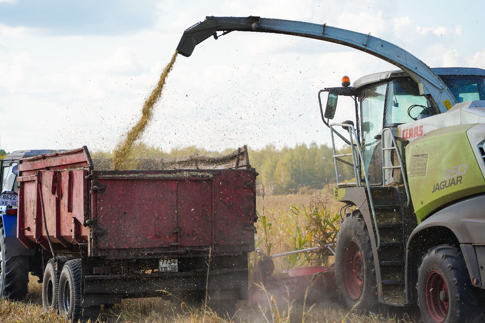 Шатура, АПКШатурский, урожай, сельское хозяйство,