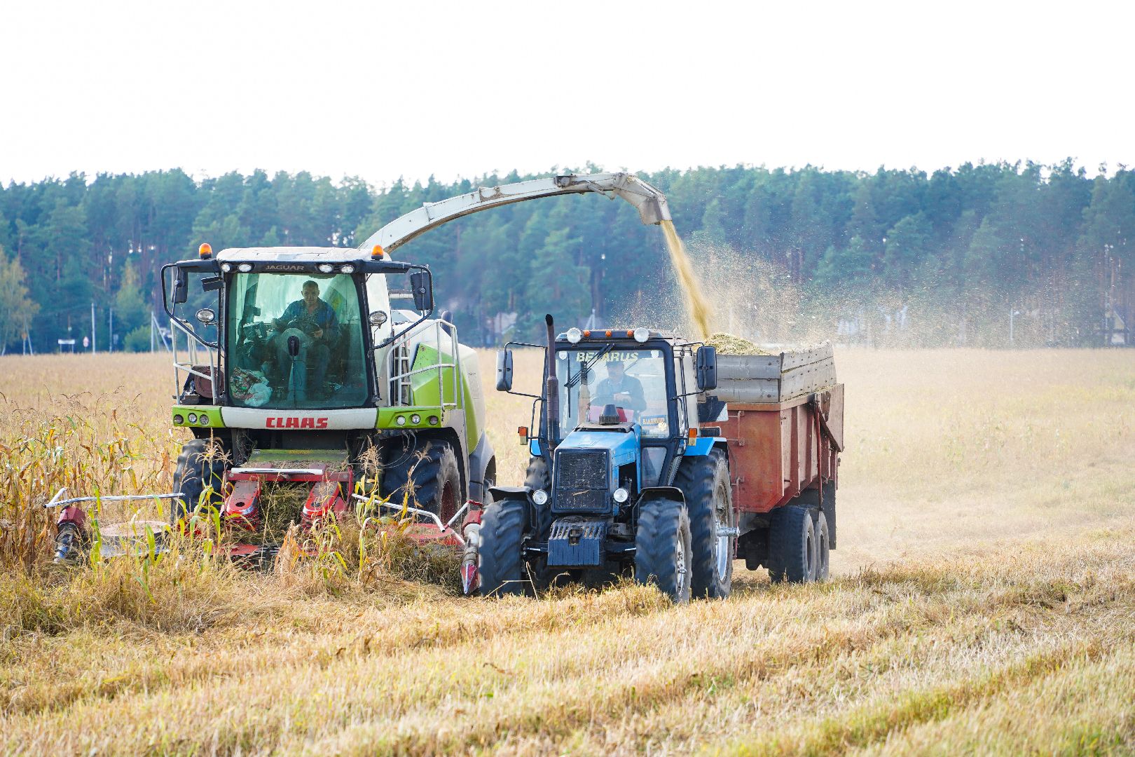 Шатура, АПКШатурский, урожай, сельское хозяйство,