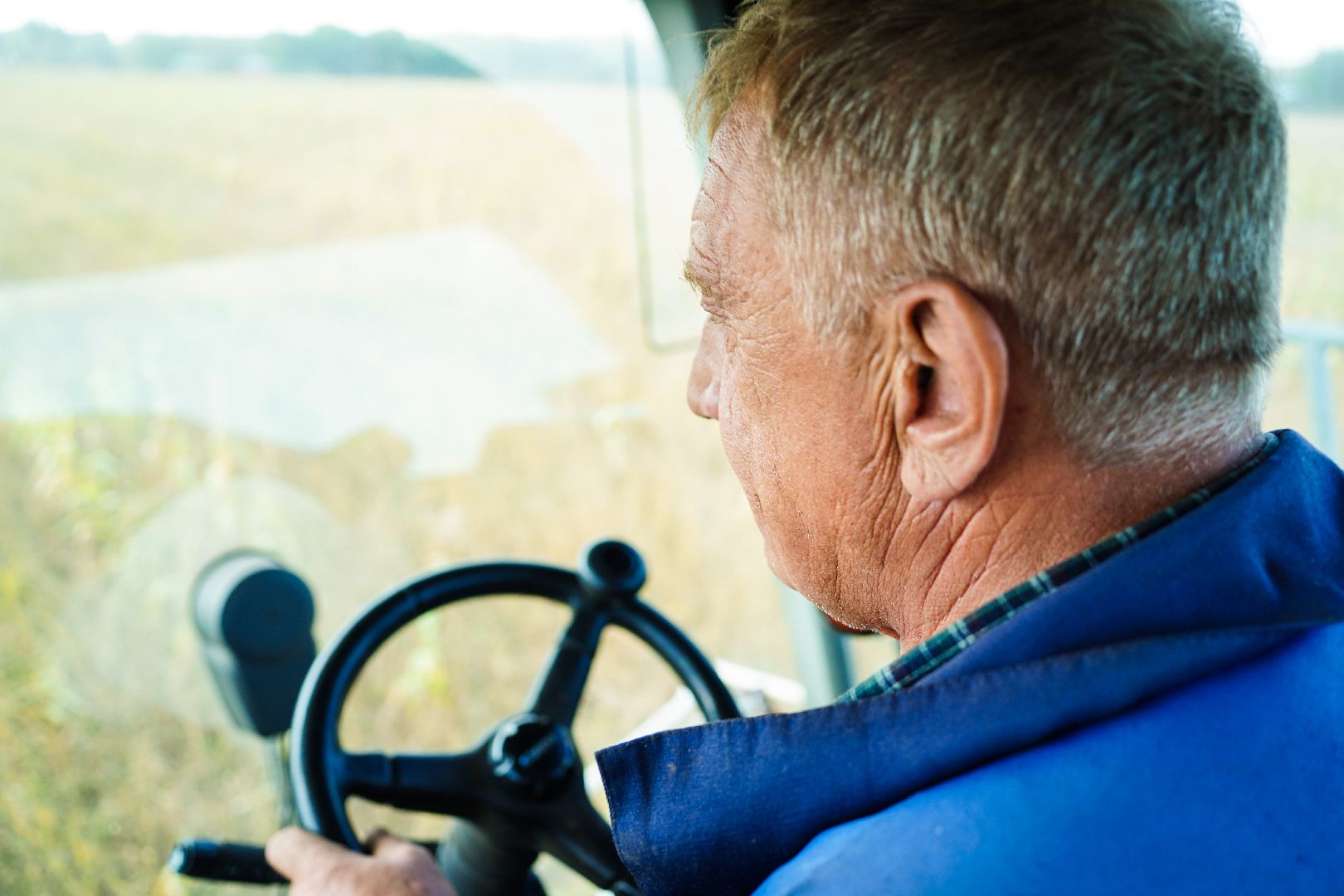 Шатура, АПКШатурский, урожай, сельское хозяйство,