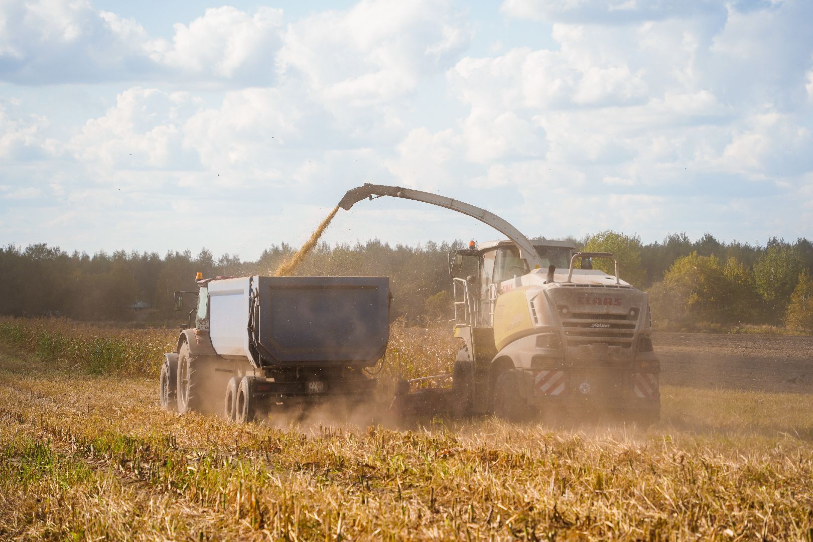 Шатура, АПКШатурский, урожай, сельское хозяйство,