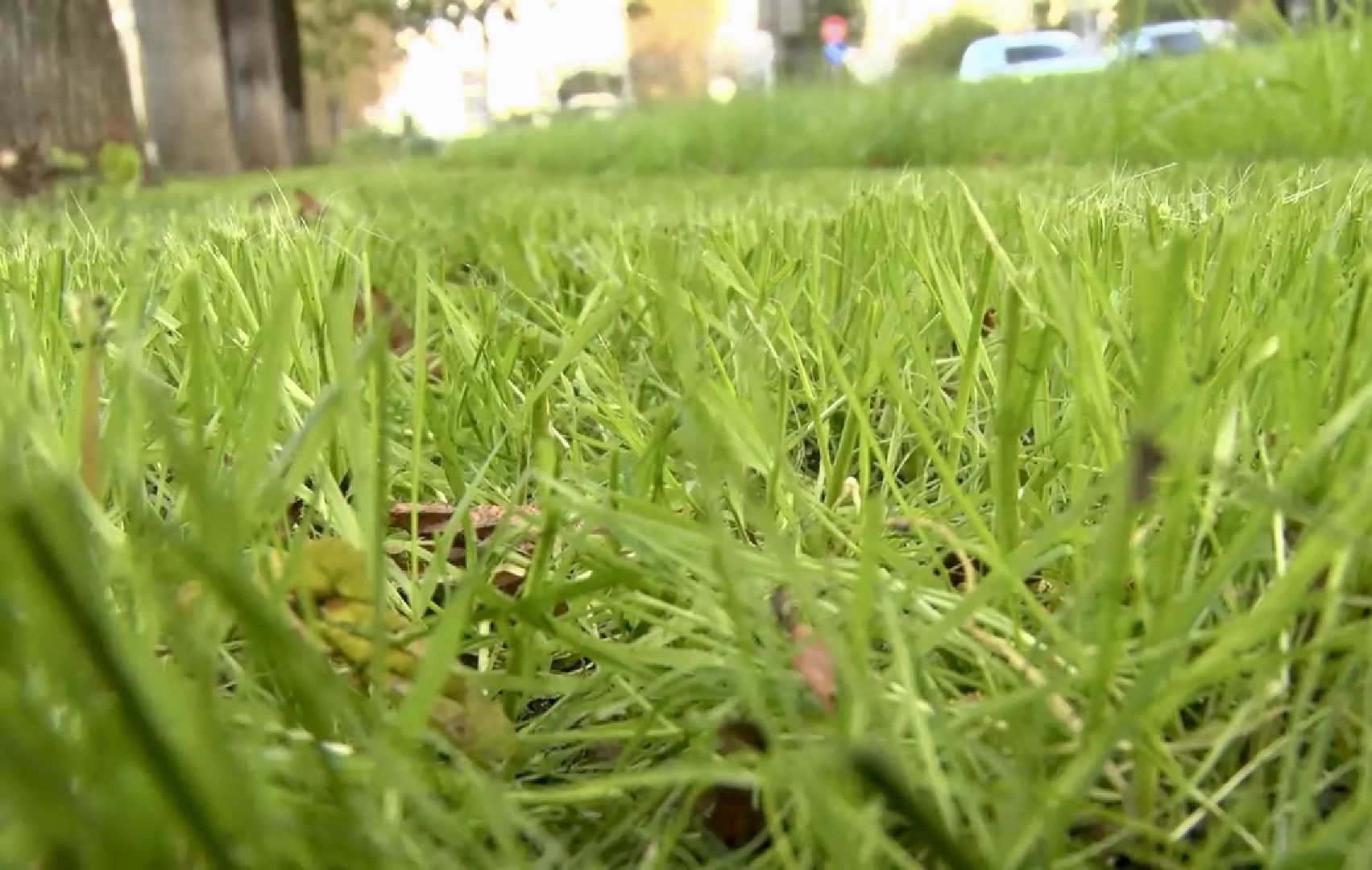 Клин, общество, благоустройство, перемены,