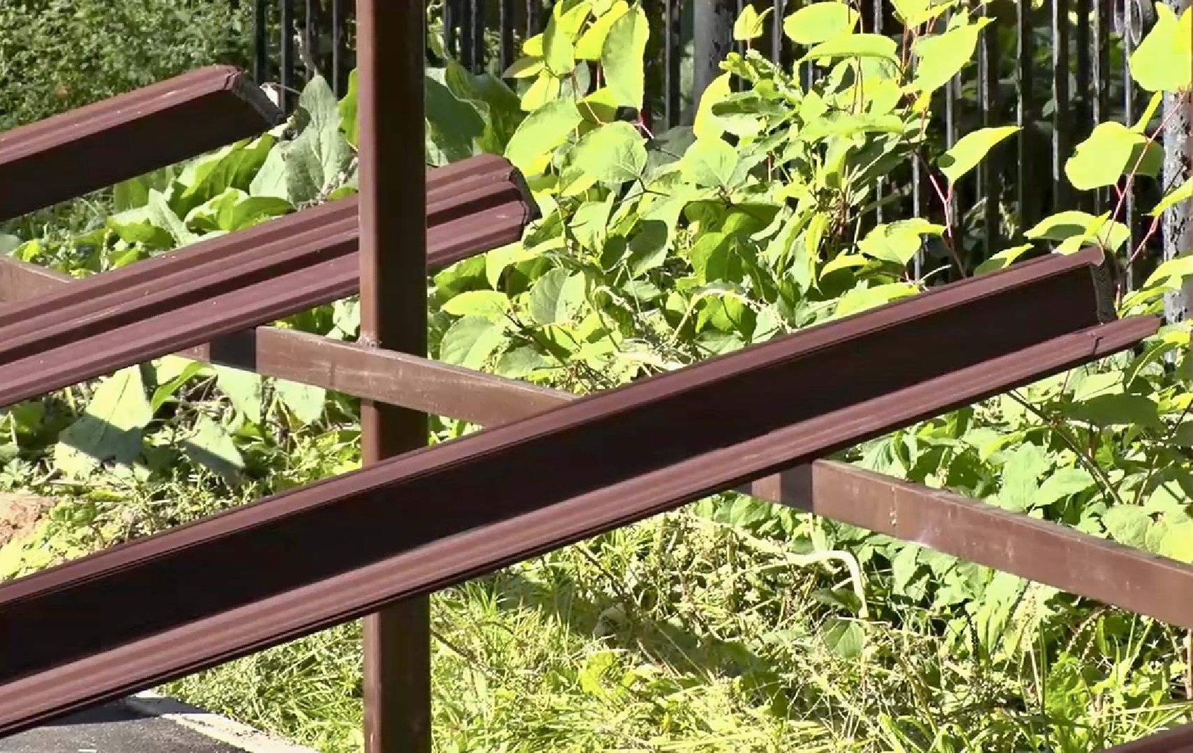 Клин, общество, благоустройство, перемены,