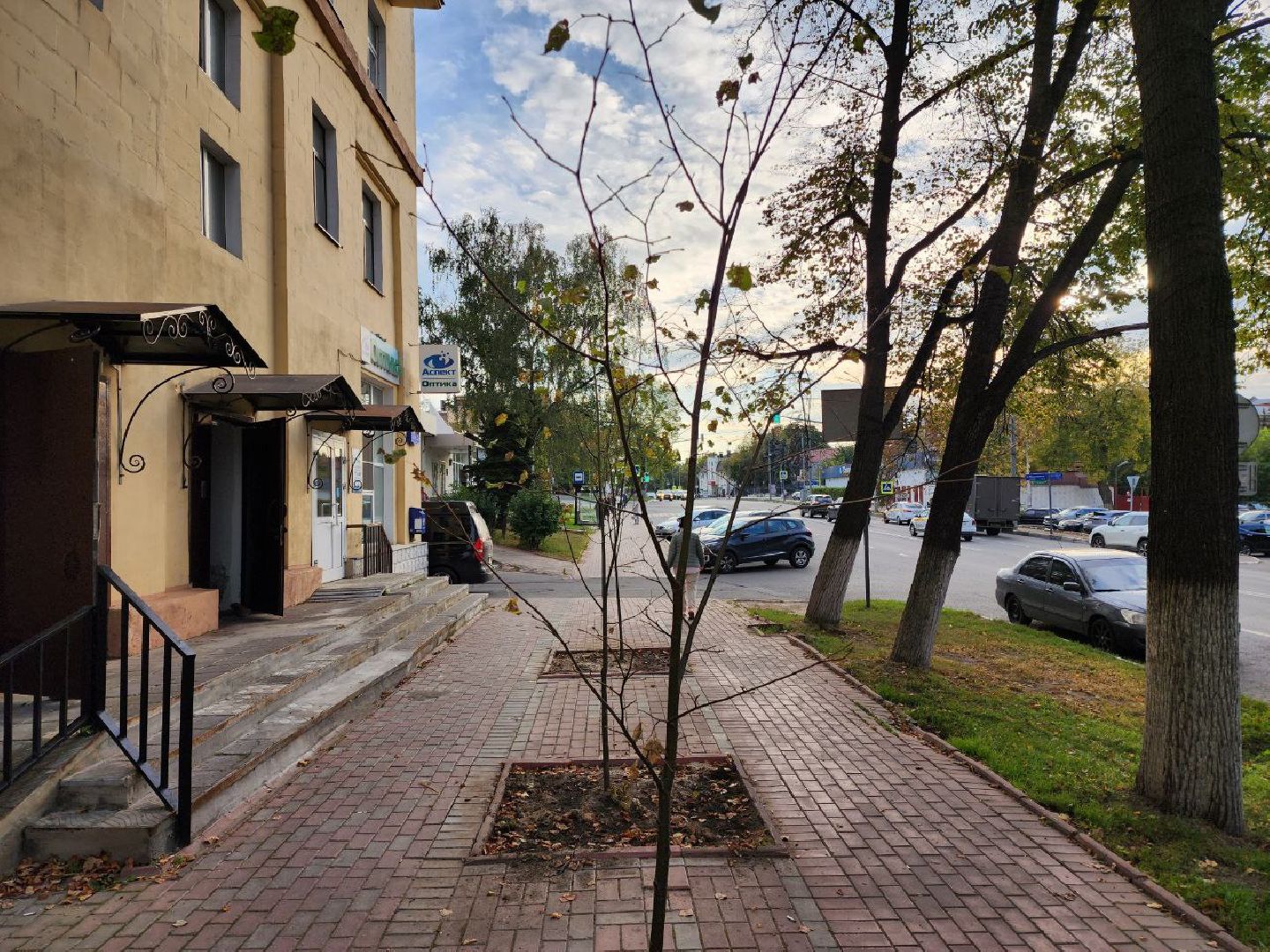 раменское, благоуйстройство, аллея из лип на центральной улице,