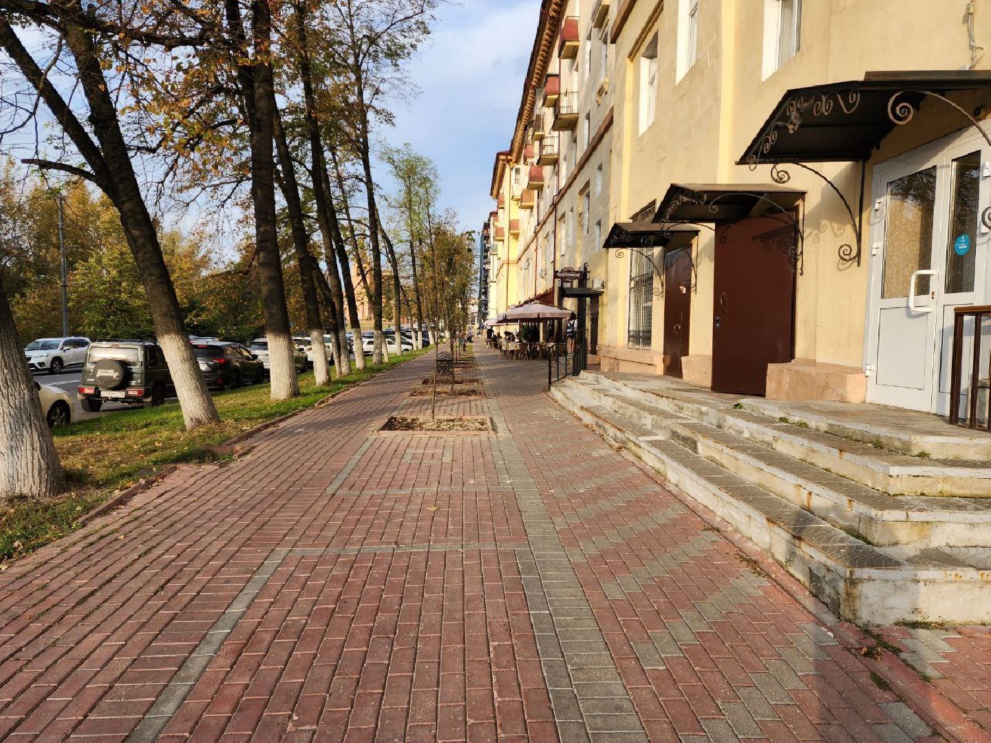 раменское, благоуйстройство, аллея из лип на центральной улице,