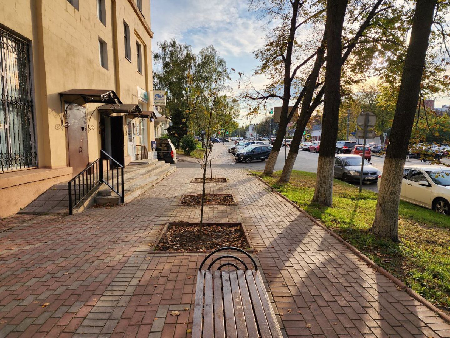 раменское, благоуйстройство, аллея из лип на центральной улице,