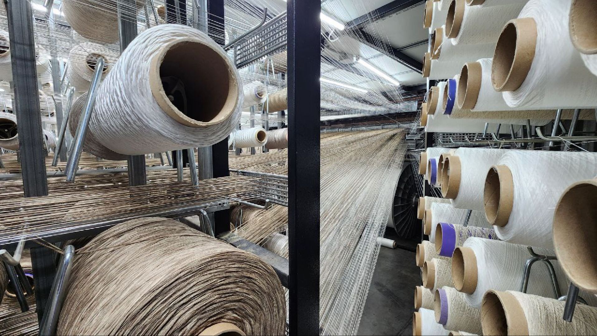 дмитров, экономика, бизнес,