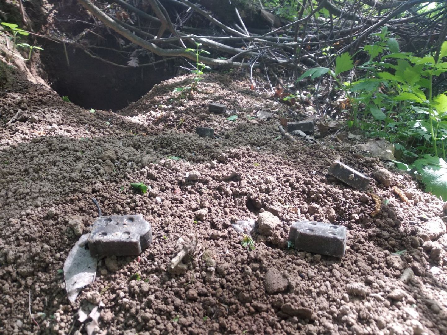 дмитров, карантин, минсельхоз,