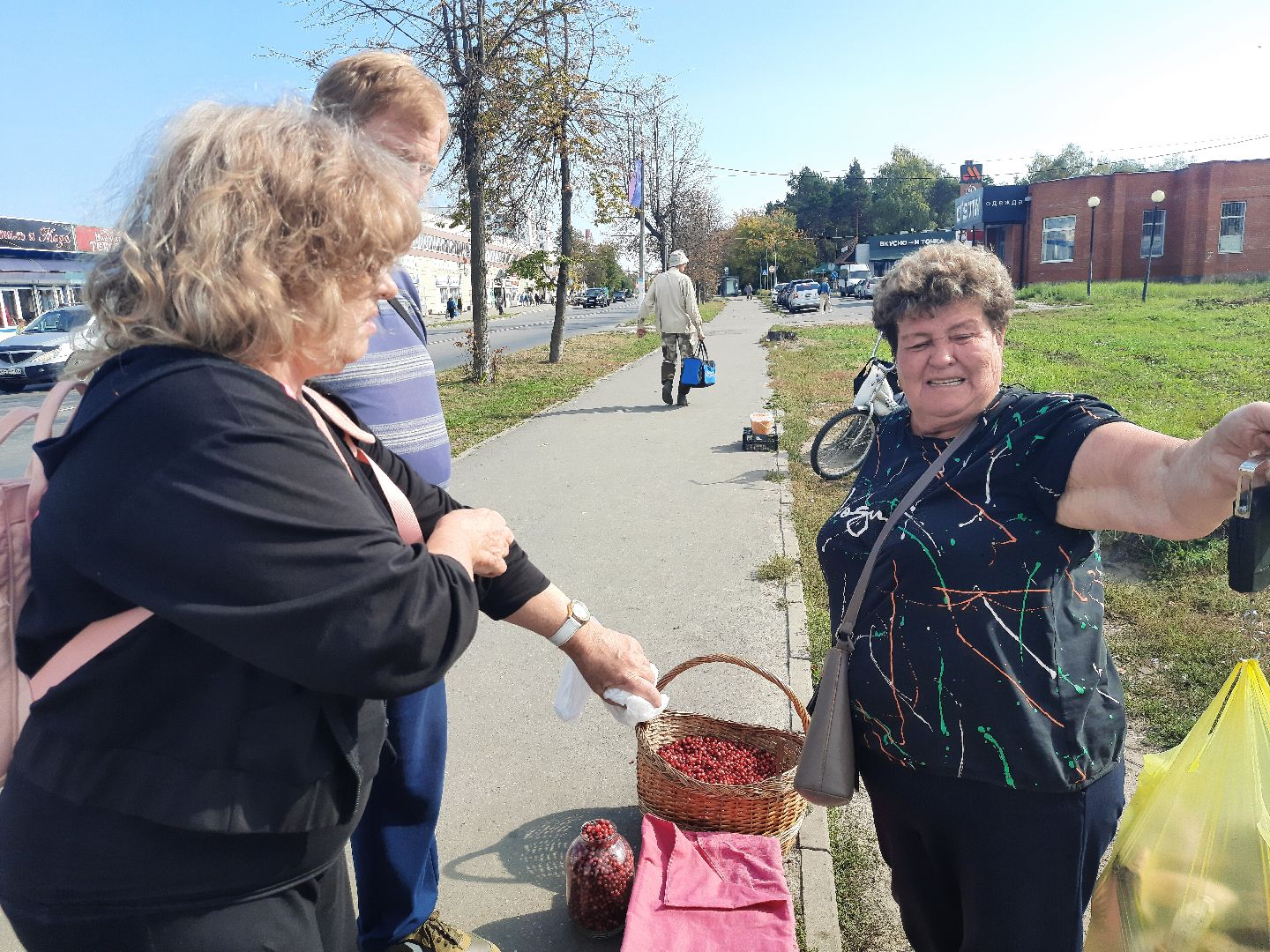 шатура, грибы, тихая_охота, белые, лисички,