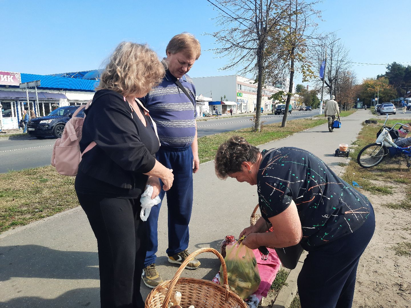 шатура, грибы, тихая_охота, белые, лисички,